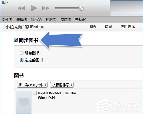 ibooks支持什么格式?ibooks怎么导入电子书?