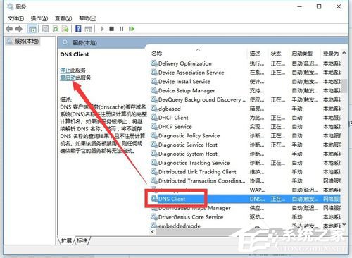 Win10除了Edge以外的浏览器都不能上网怎么办?