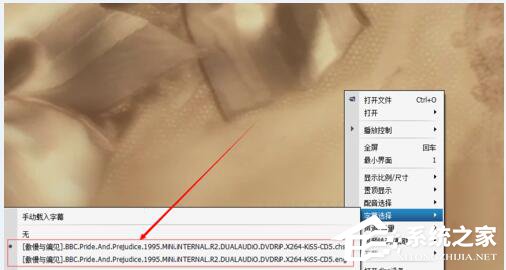 srt是什么文件?怎么使用srt文件