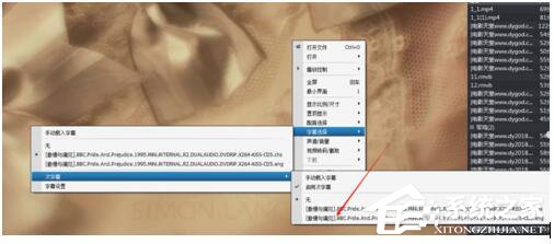 srt是什么文件?怎么使用srt文件