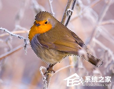 PS怎么抠图?使用PS抠图的方法