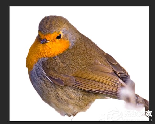 PS怎么抠图?使用PS抠图的方法