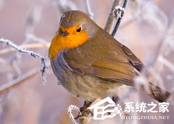 PS怎么抠图?使用PS抠图的方法