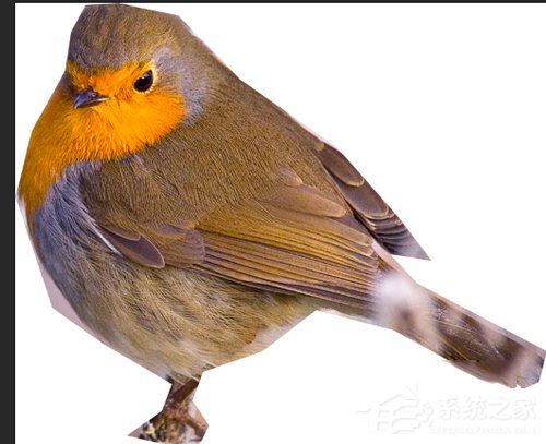 PS怎么抠图?使用PS抠图的方法