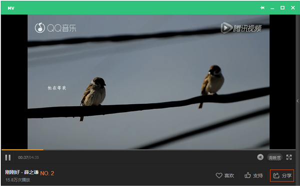 今天分享QQ音乐MV怎么下载（qq音乐mv怎么下载到电脑）