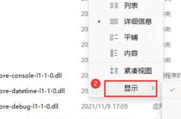 Win11如何展示文件扩展名?Win11展示文件扩展名的方法