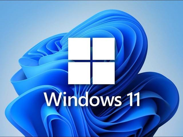 Win11提示ms-gamingoverlay怎么办?Win11提示ms-gamingoverlay的解决方法