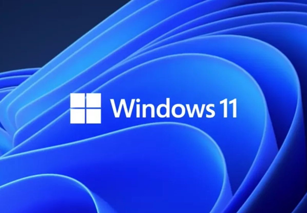 今天分享Win11的更新文件在哪里（Win11系统更新文件在哪）