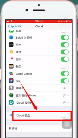 在苹果手机里将icloud drive开启操作过程
