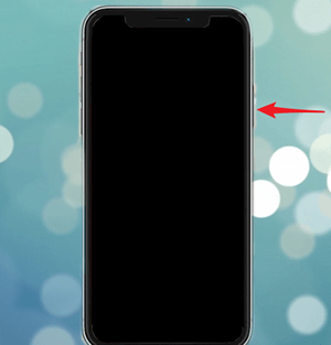苹果xs进行开机操作流程