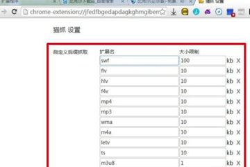 猫抓插件怎么用 小编分享轻松下载付费资源