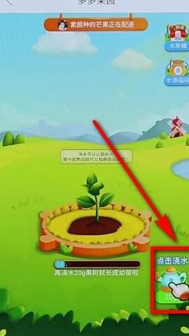 拼多多里多多果园详细玩法讲解