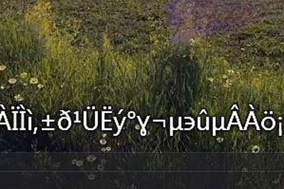 今天分享完美解码字幕导入乱码怎么办