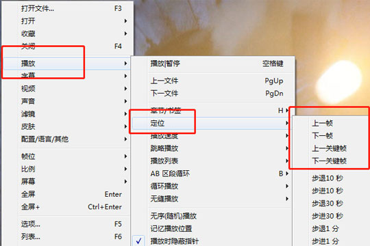 今天分享完美解码怎么按帧播放