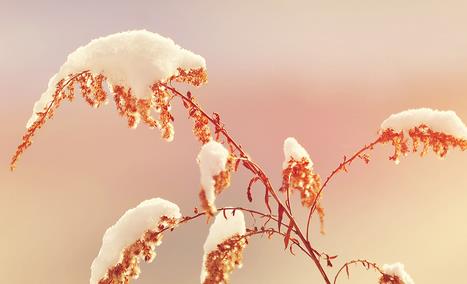 小编教你2018朋友圈立冬心情图今天分享（立冬朋友圈心情说说）