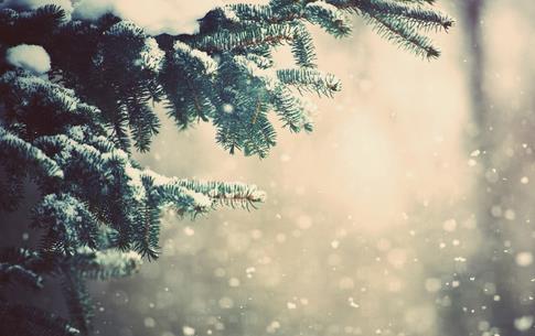 2018朋友圈立冬心情图我来教你 非常适合发朋友圈