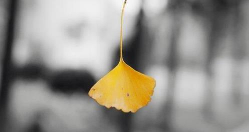 2018朋友圈立冬心情图我来教你 非常适合发朋友圈