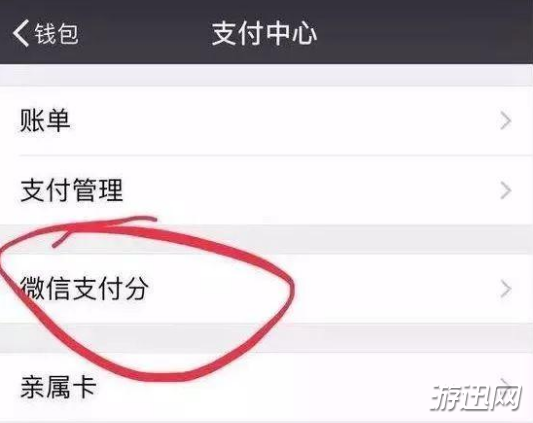 小编教你微信支付分是什么