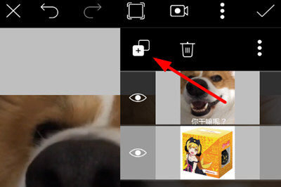 PicsArt生成动态图具体操作方法