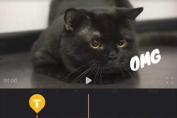 Enlight Videoleap详细玩法介绍
