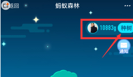 在支付宝蚂蚁森林中获得环保证书的图文教程截图