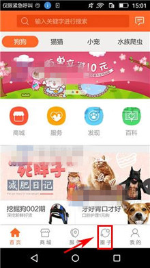 小编教你在波奇宠物APP中创建圈子的详细步骤。
