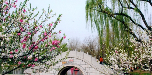 妙用PS将模糊图片变清晰的方法我来教你截图