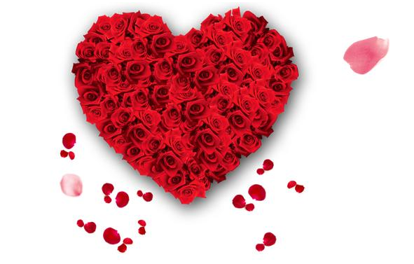 今天说说使用PPT制作表白动画的具体讲解。