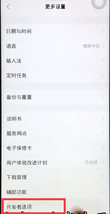 vivoz1开启usb调试的操作流程截图