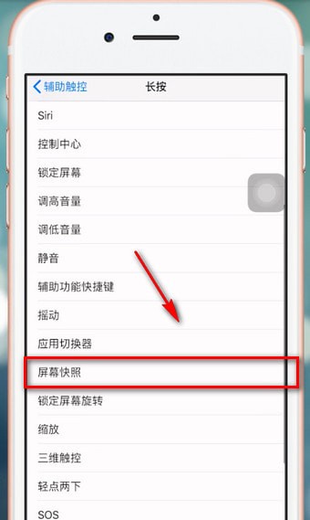 苹果手机进行截屏的详细操作截图