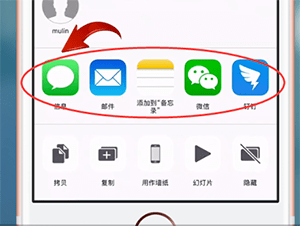在苹果手机里发送livephoto照片的操作流程截图